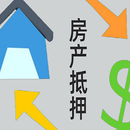 靖西贷款中介公司新渝启服联系方式