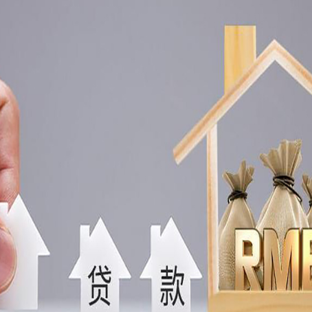 靖西贷款中介公司新渝启服怎么样
